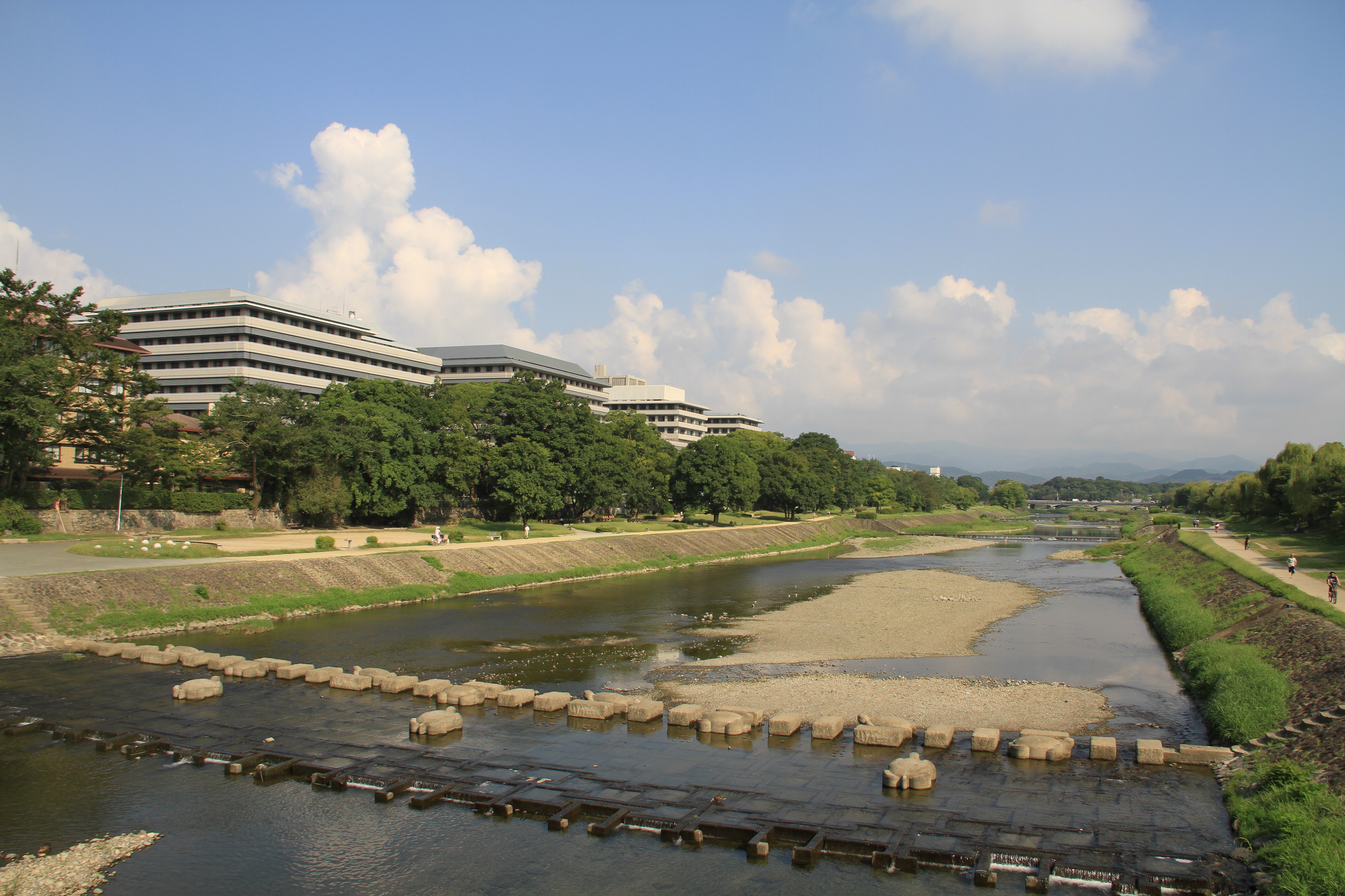標準眼科学 第12版 単行本 2015 木下 茂 医学書院 木下 茂 ひょうじゅ 標準眼科学 第12版 単行本 2015 木下 茂 医学書院 木下 茂